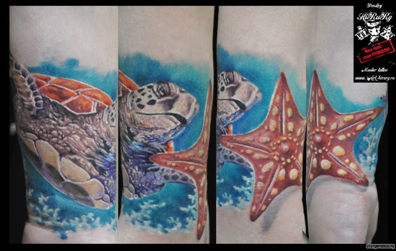 Фотография татуировки под названием «Черепаха и морская звезда»