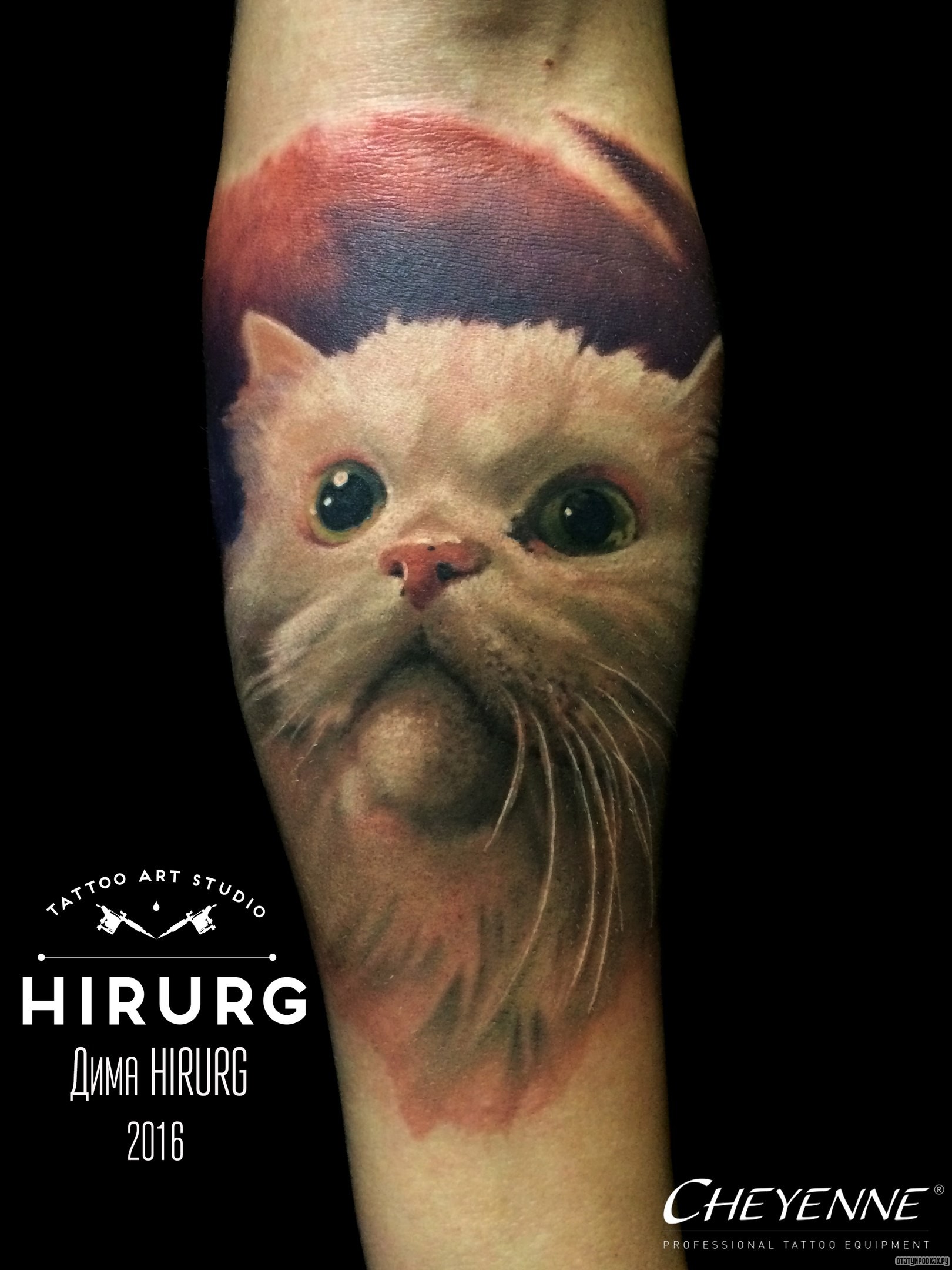 Фотография татуировки под названием «Белая кошка»