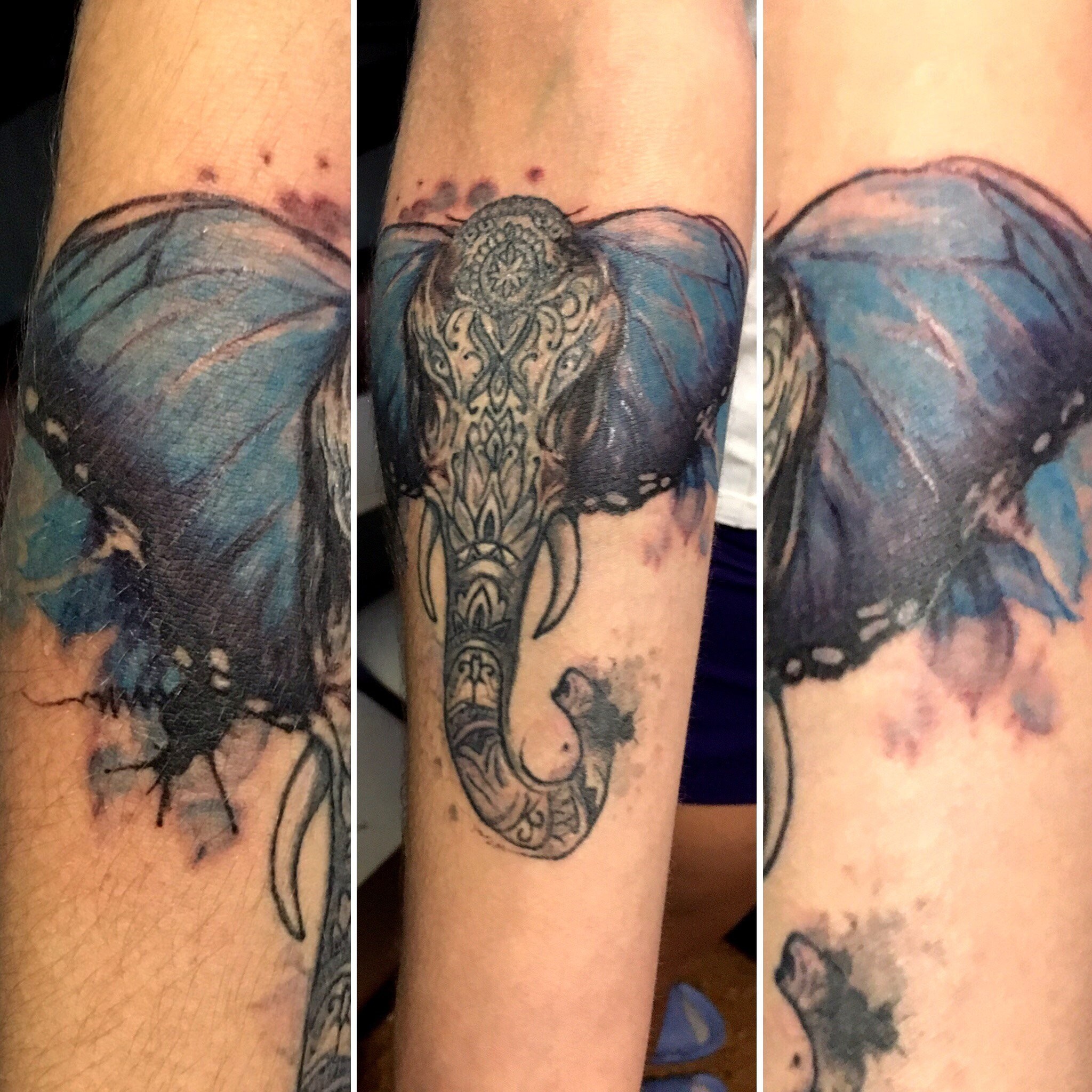 Фотография татуировки под названием «Слон»