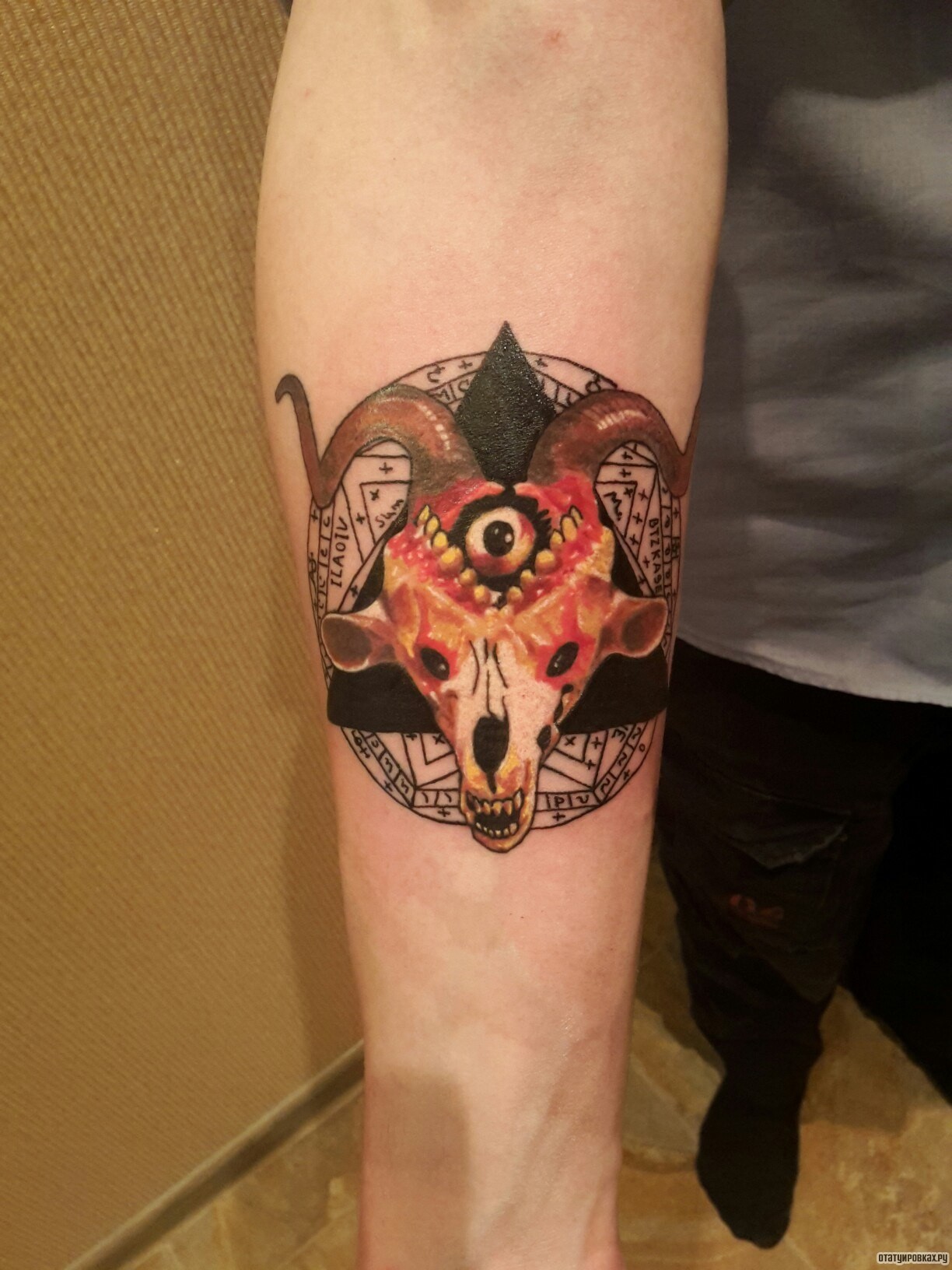 Фотография татуировки под названием «Череп животного в треугольнике»