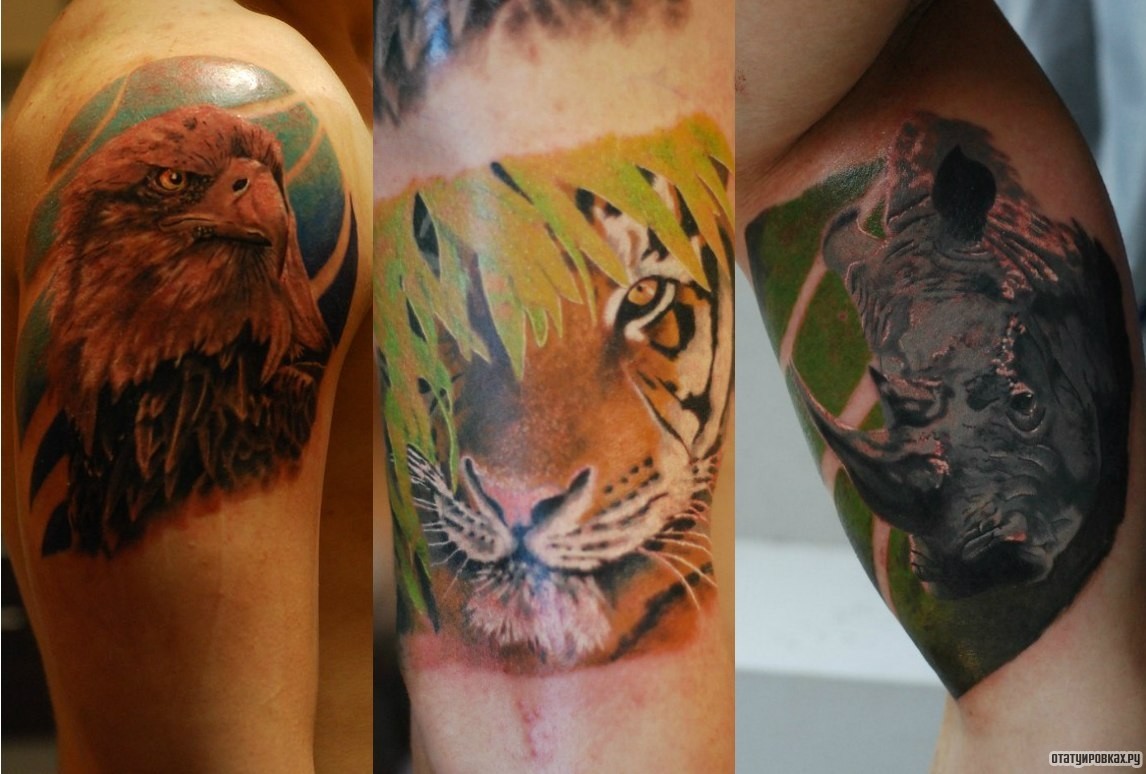 Фотография татуировки под названием «Орел, тигр, носорог»