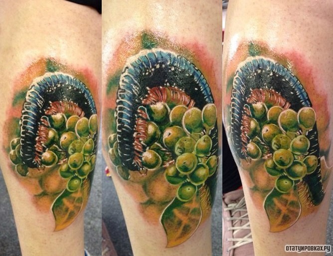 Фотография татуировки под названием «Гусеница на ягодах»