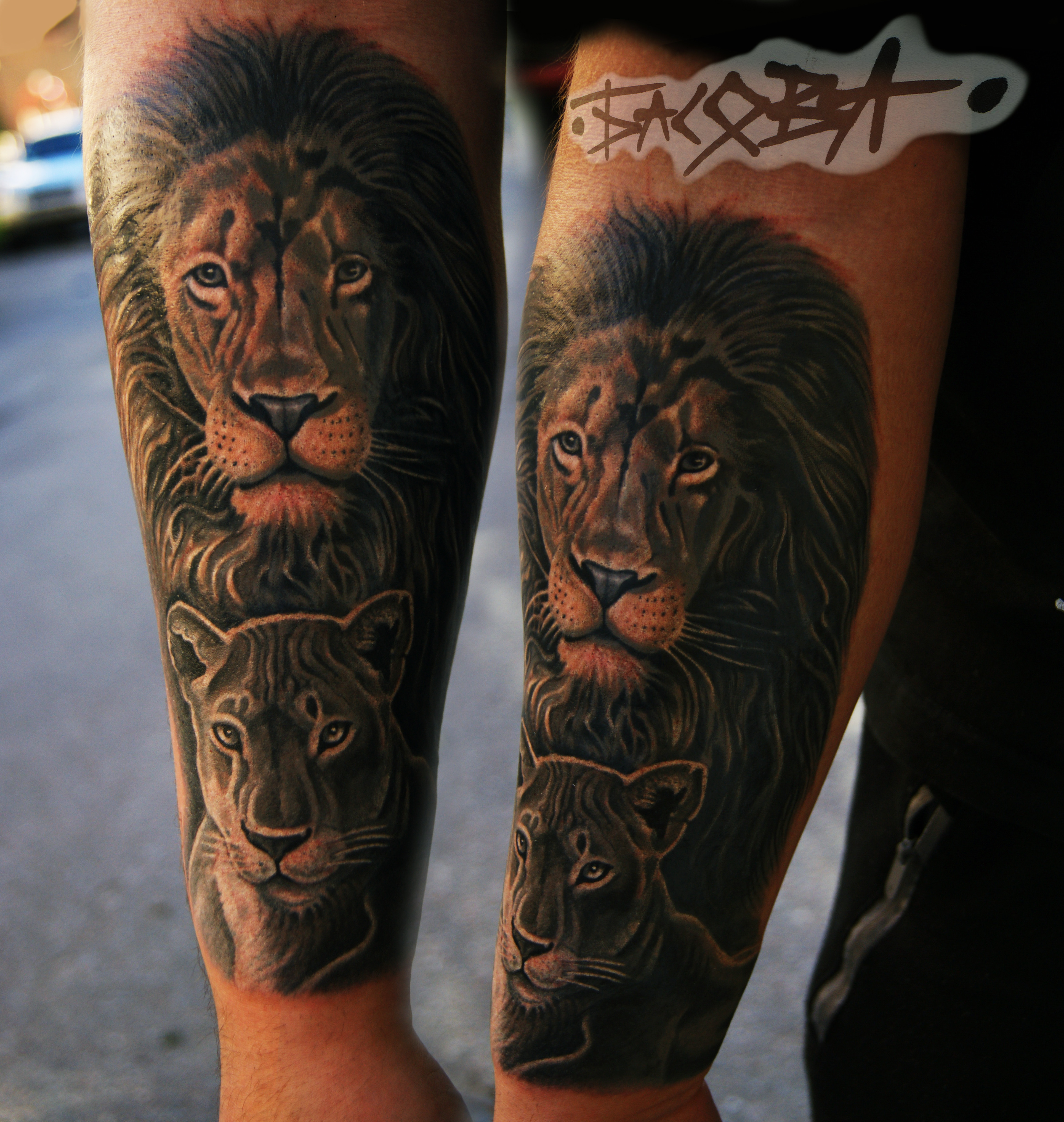 Фотография татуировки под названием «лев и львица»