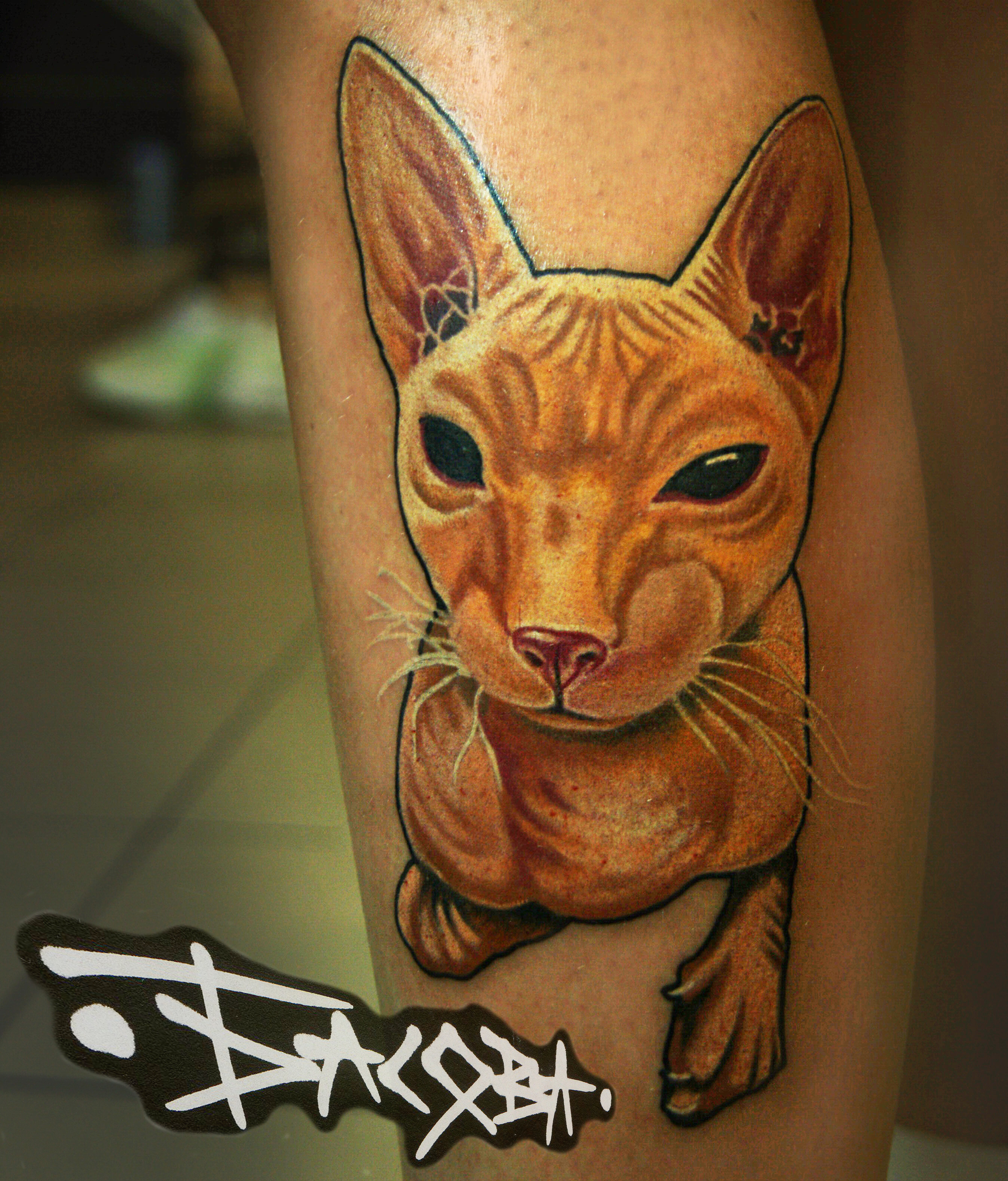 Фотография татуировки под названием «кошка сфинкс»