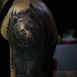 медведь  на плече