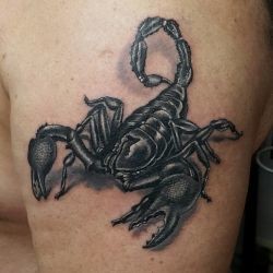 Скорпион  на плече (на руке)