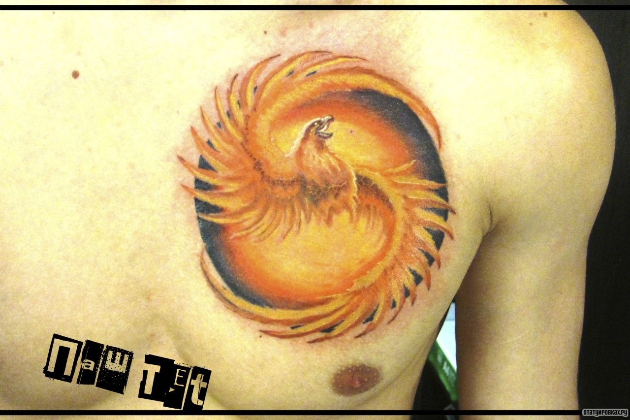 Фотография татуировки под названием «Жар птица в круге»