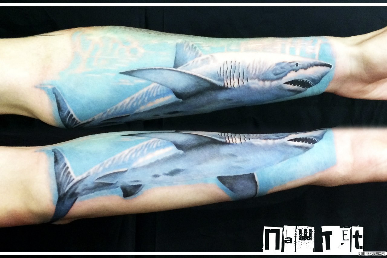 Фотография татуировки под названием «Акула под водой»
