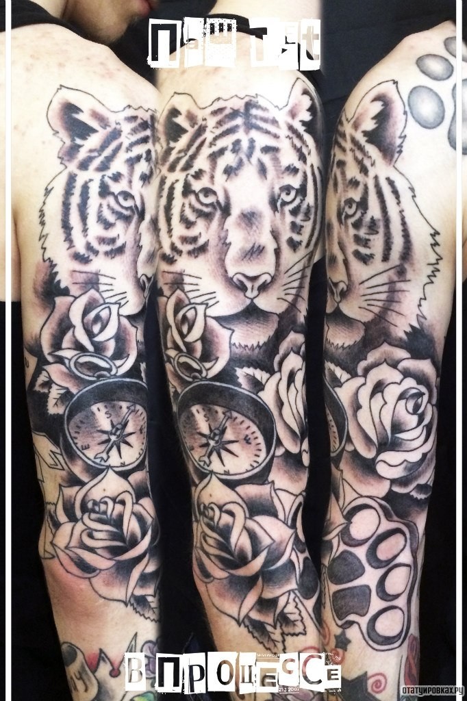 Фотография татуировки под названием «Дигр, розы, компас»