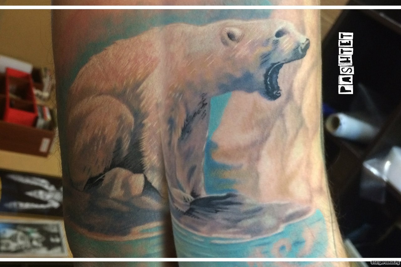 Фотография татуировки под названием «Белый медведь»