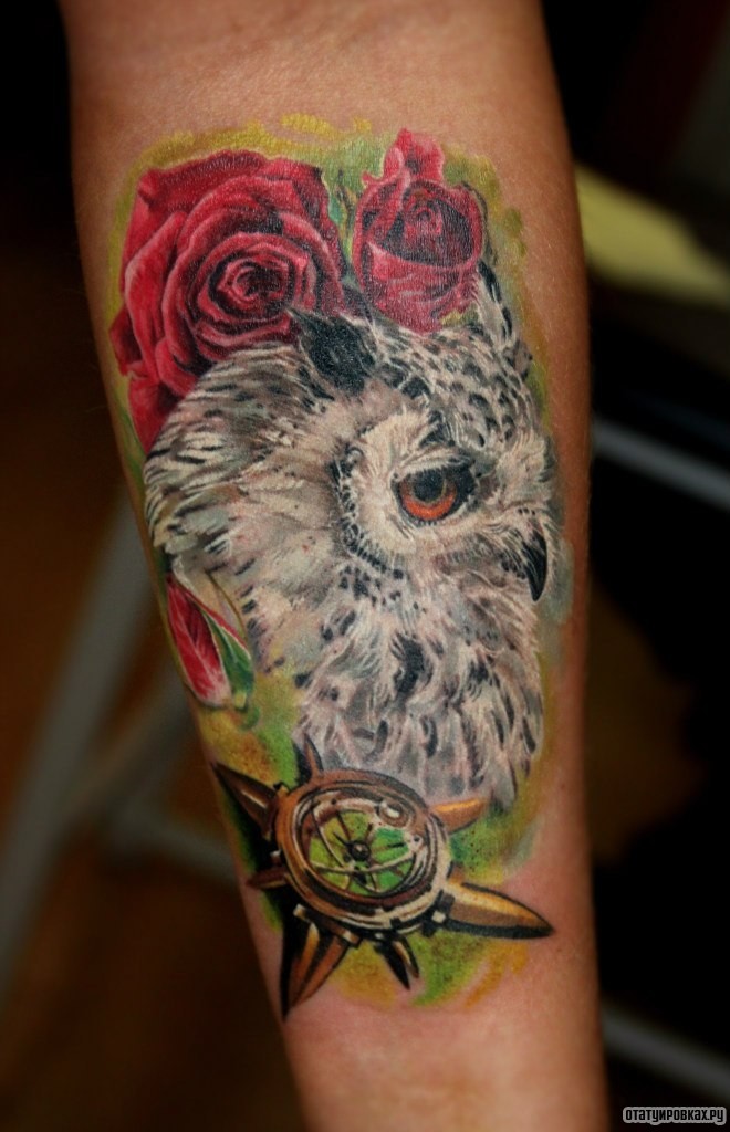 Фотография татуировки под названием «Сова, розы и компас»