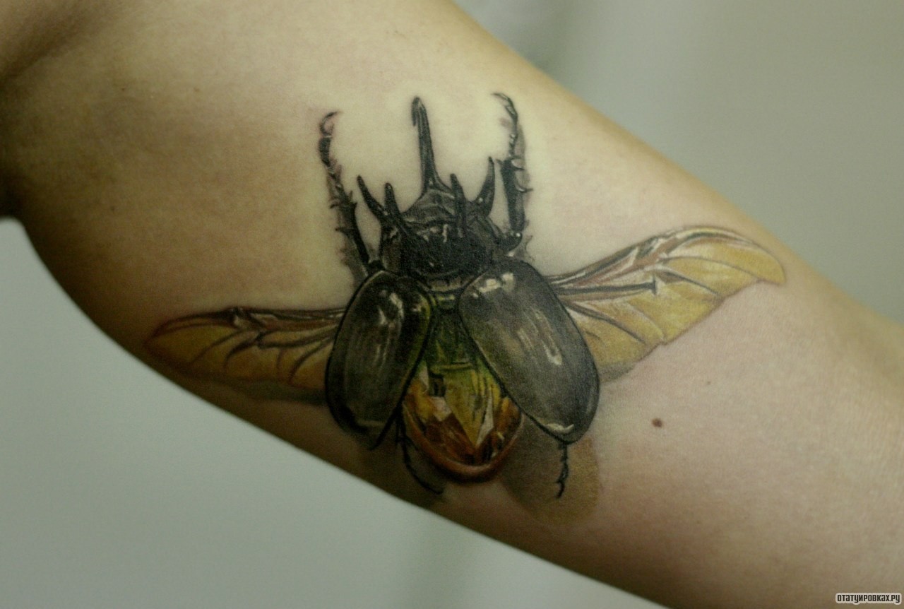 Фотография татуировки под названием «Майский жук»
