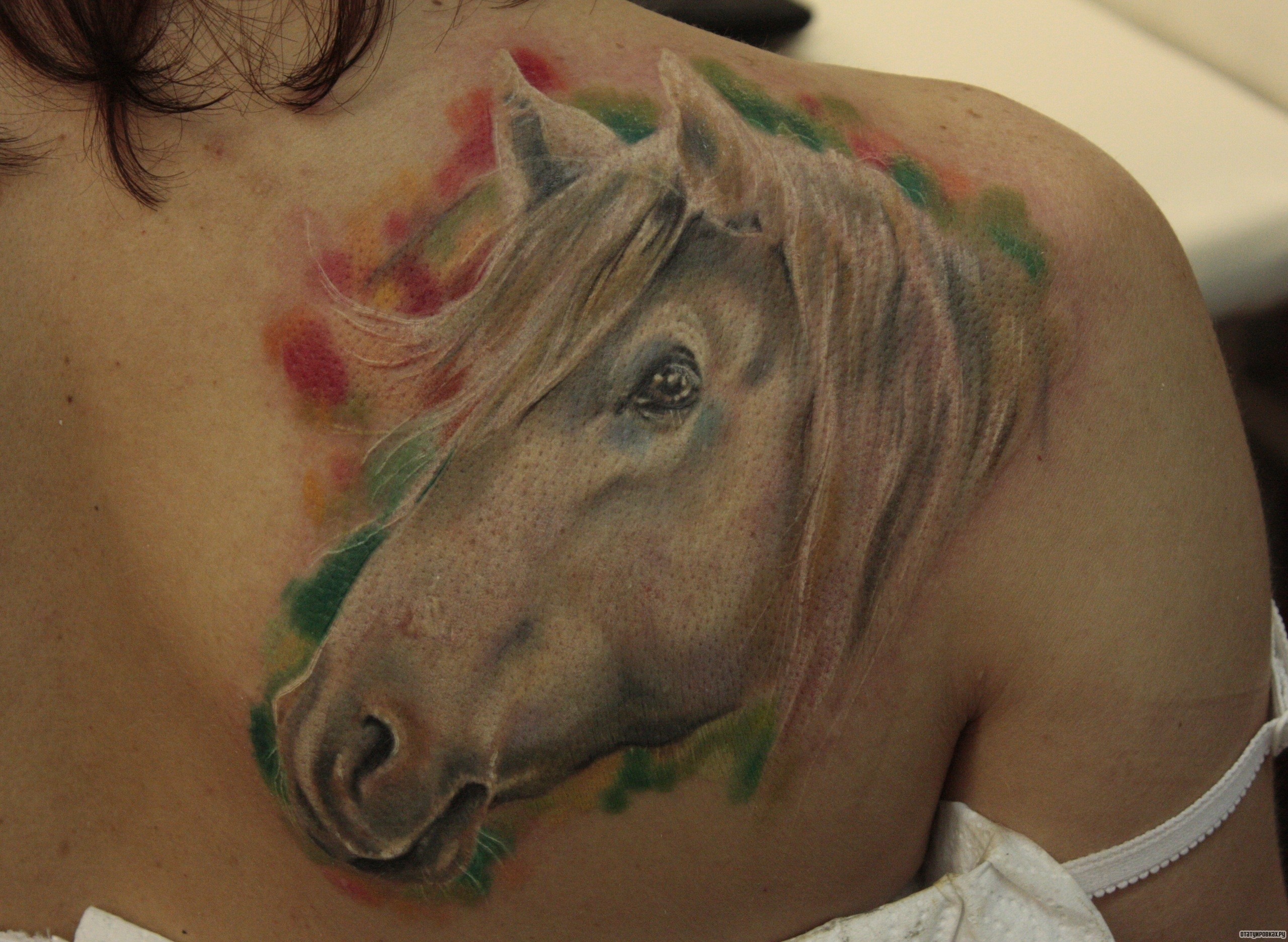Фотография татуировки под названием «Голова лошади»