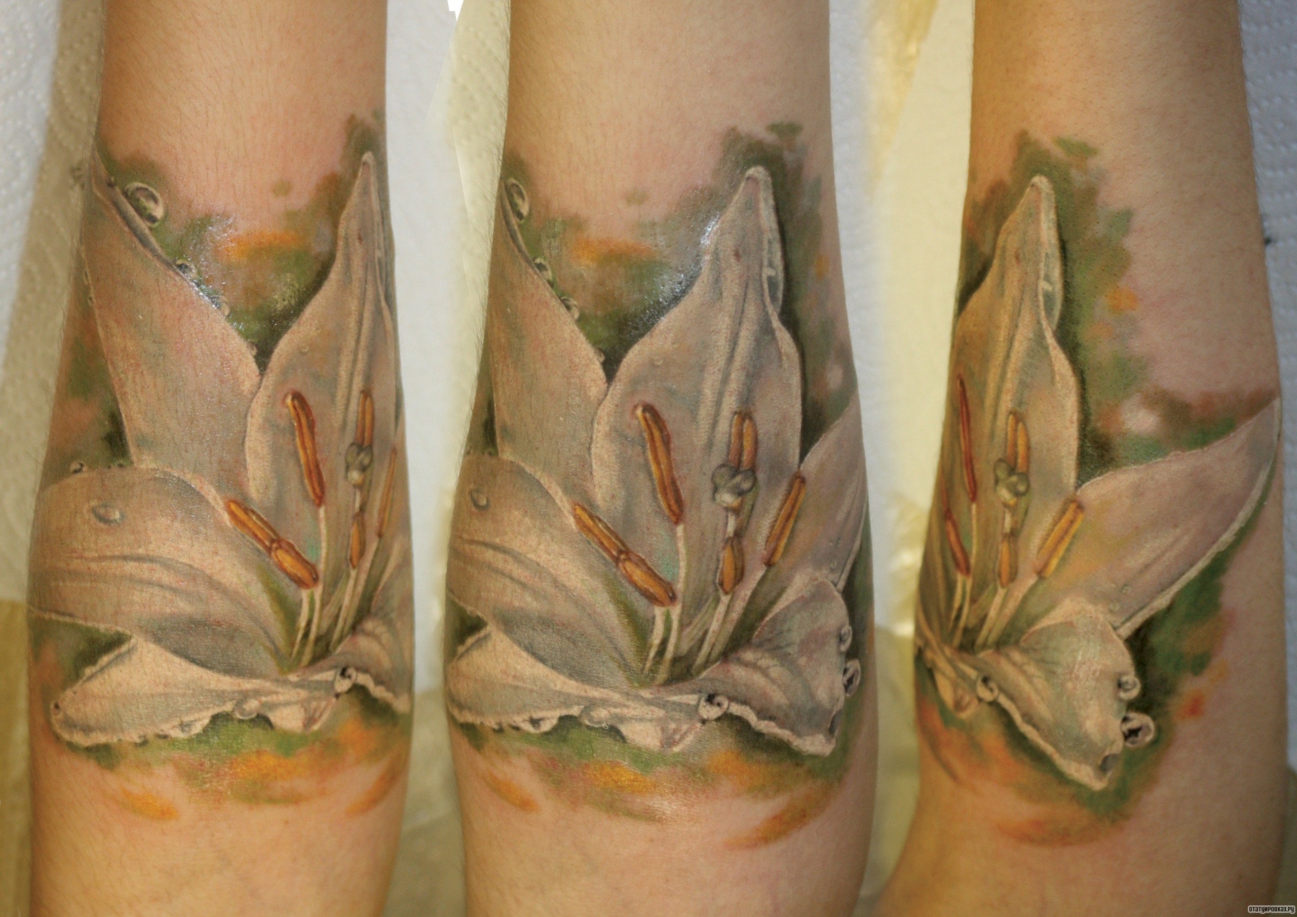 Фотография татуировки под названием «Белая лилия»