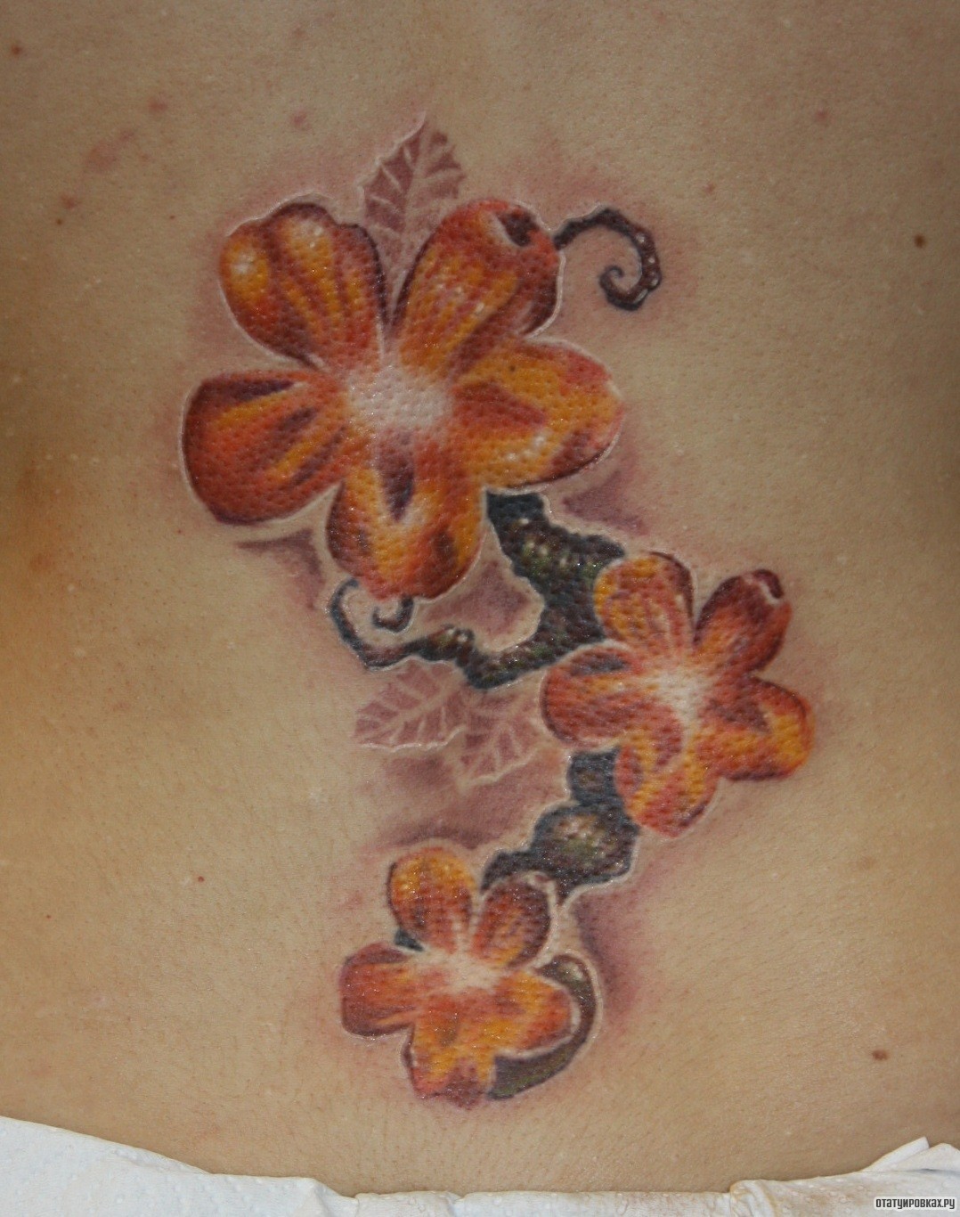 Фотография татуировки под названием «Три цветка сакуры»