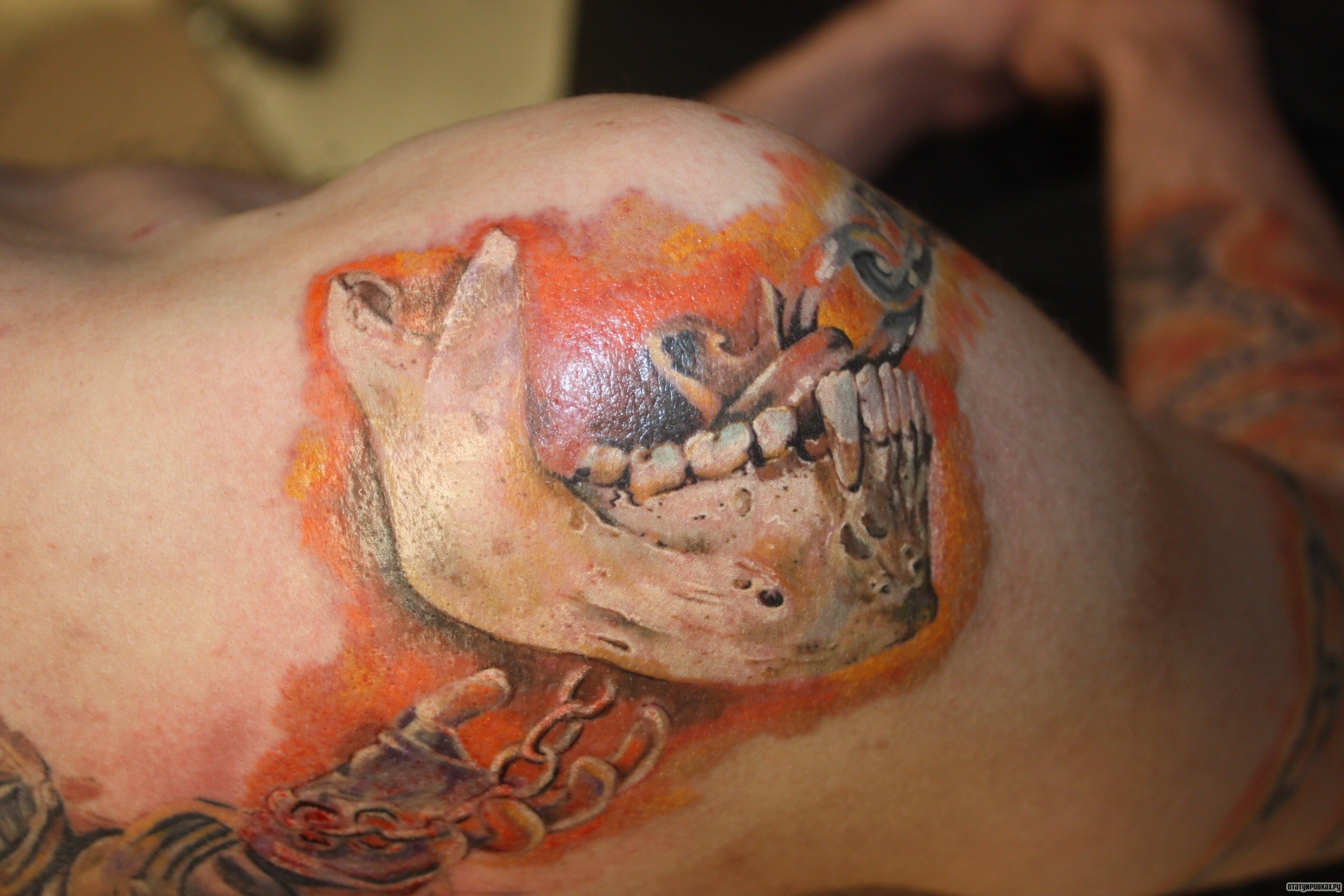 Фотография татуировки под названием «Нижняя часть черепа»