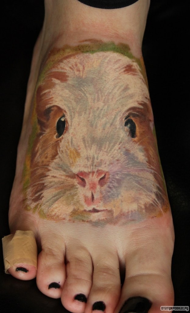 Фотография татуировки под названием «Морская свинка»