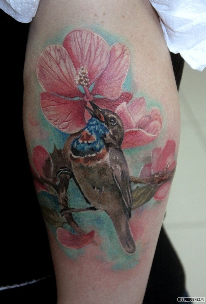 Фотография татуировки под названием «Птичка и орхидея»