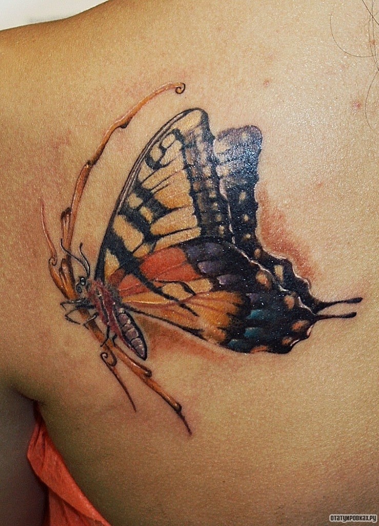 Фотография татуировки под названием «Бабочка на ветке»