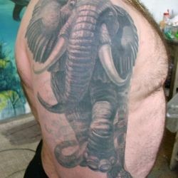 Слон  на плече (на руке)