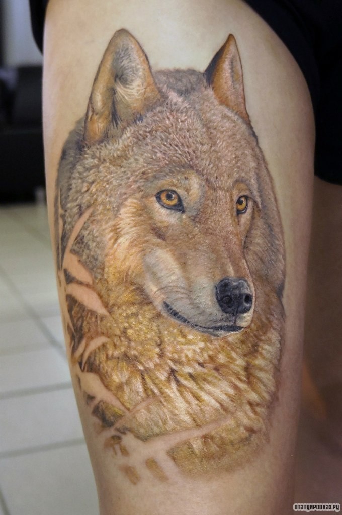 Фотография татуировки под названием «Белый волк»