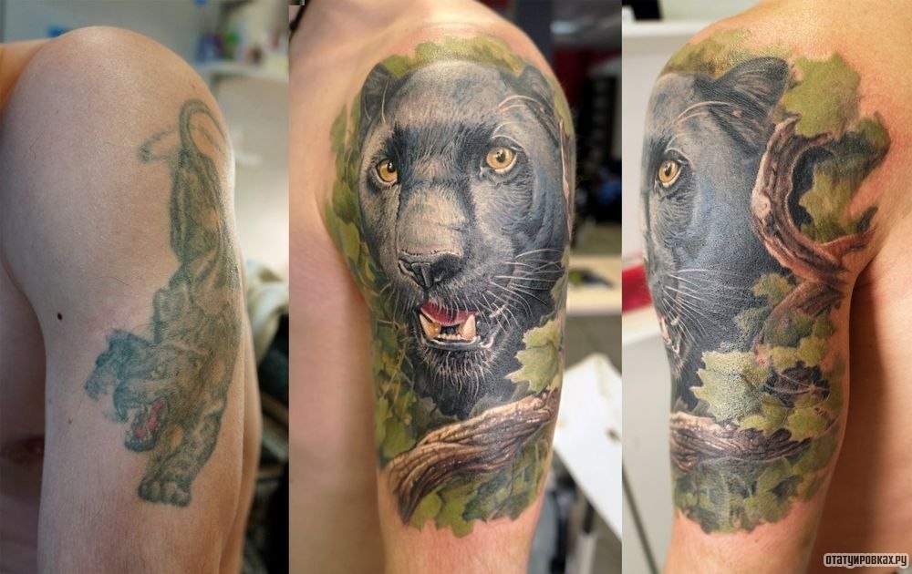 Фотография татуировки под названием «Пантера на дереве»
