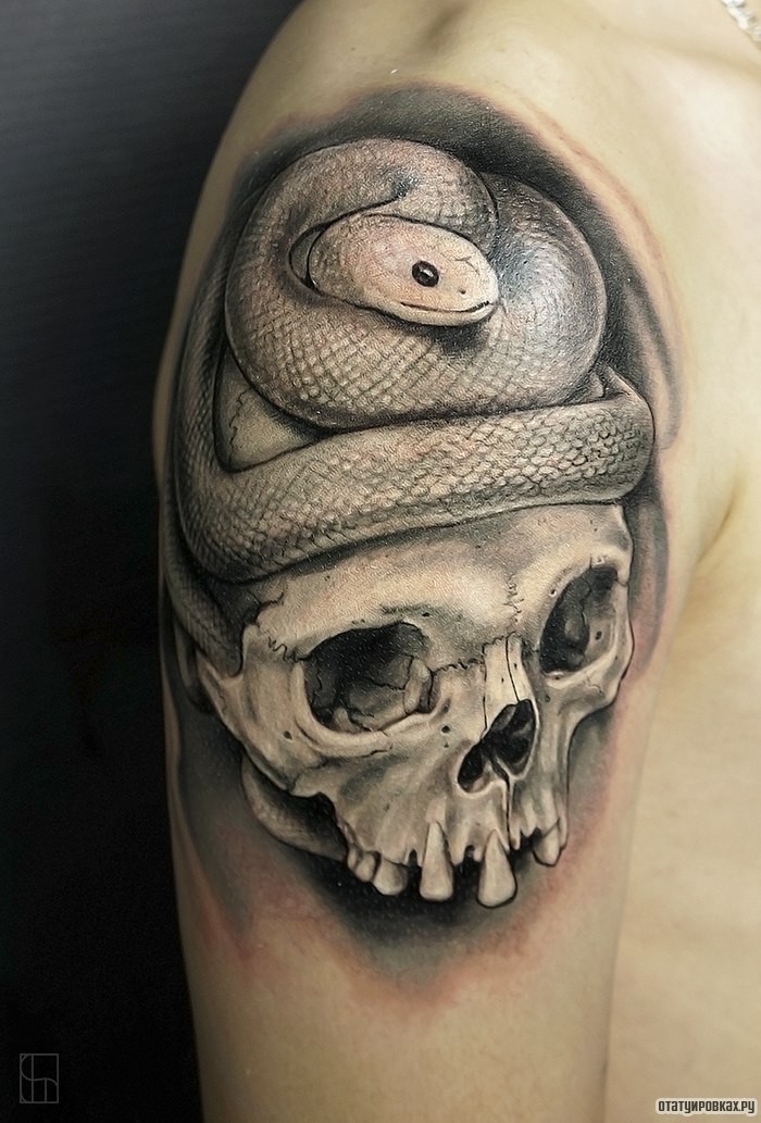 Фотография татуировки под названием «Змея на черепе»