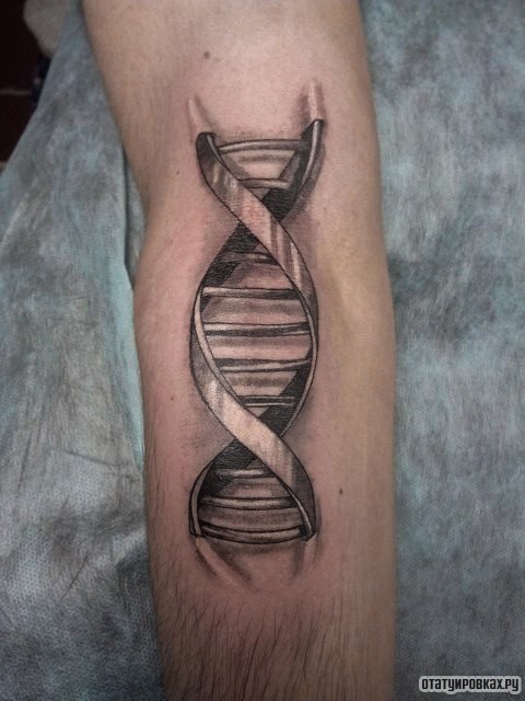 Фотография татуировки под названием «Круговая лестница»