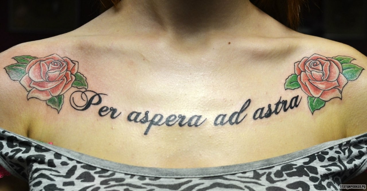 Фотография татуировки под названием «Две розы и надпись per aspera ad astra»