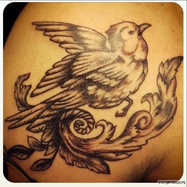 Фотография татуировки под названием «Птица и узор»