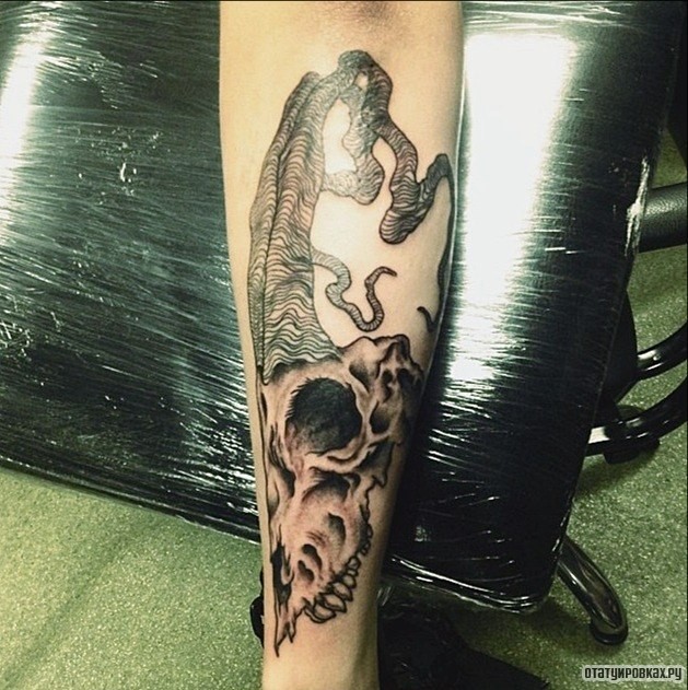 Фотография татуировки под названием «Череп рогатого животного»
