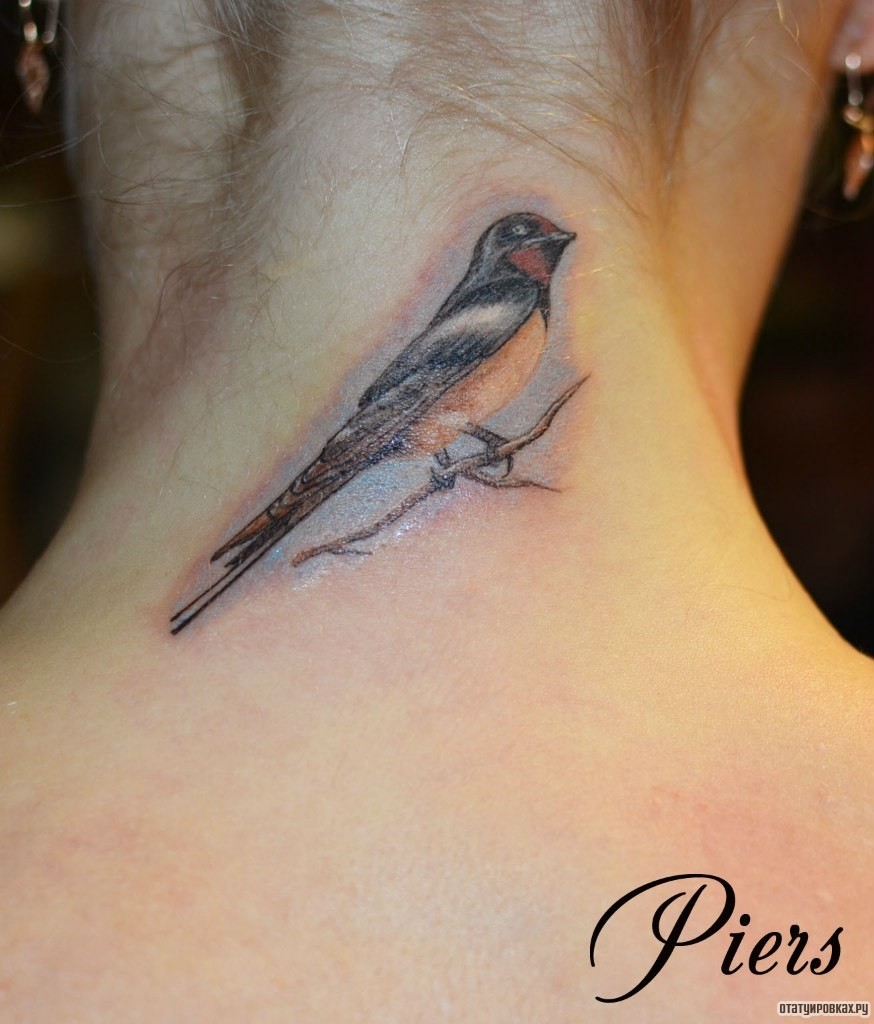 Фотография татуировки под названием «Птичка на ветке»