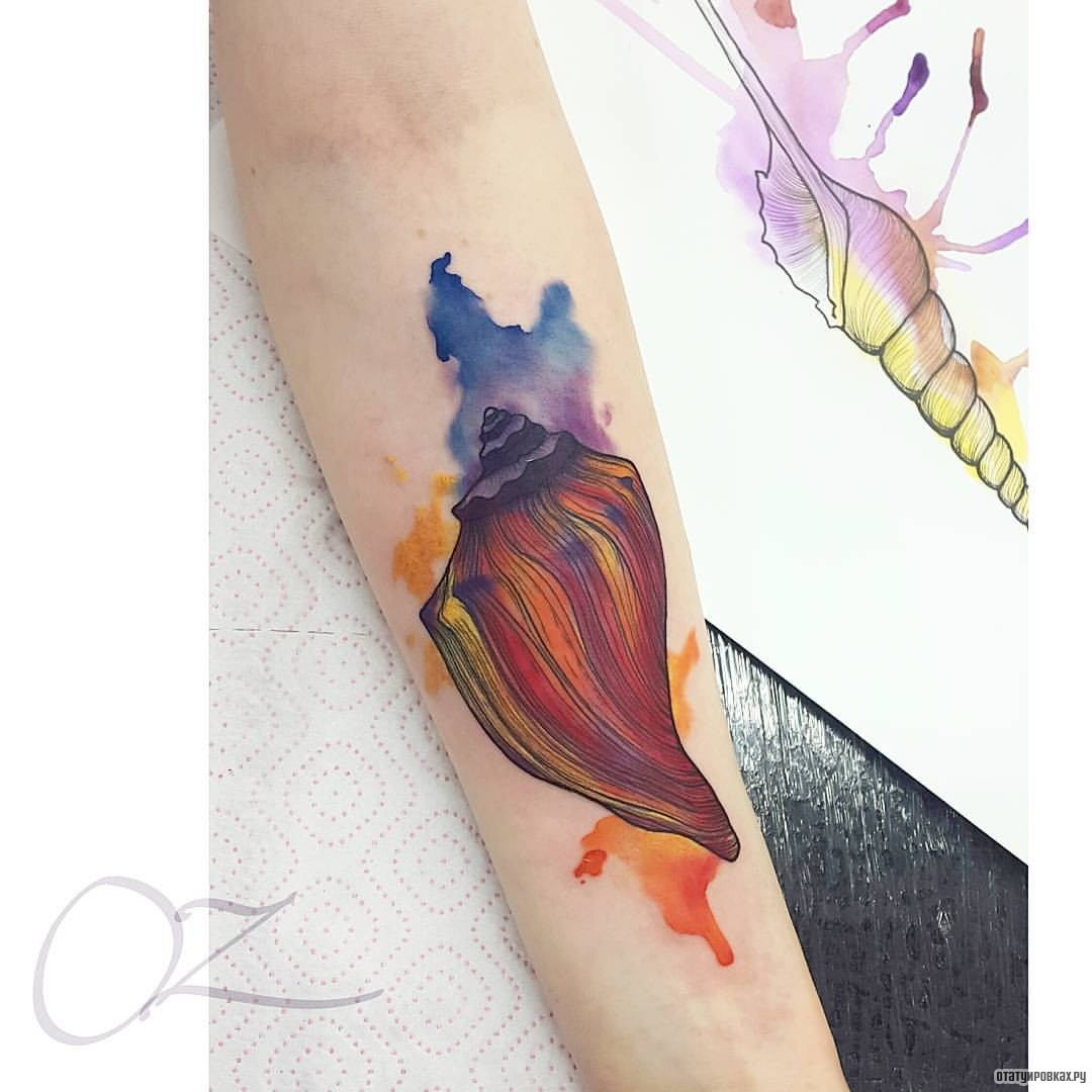 Фотография татуировки под названием «Ракушка в красках»