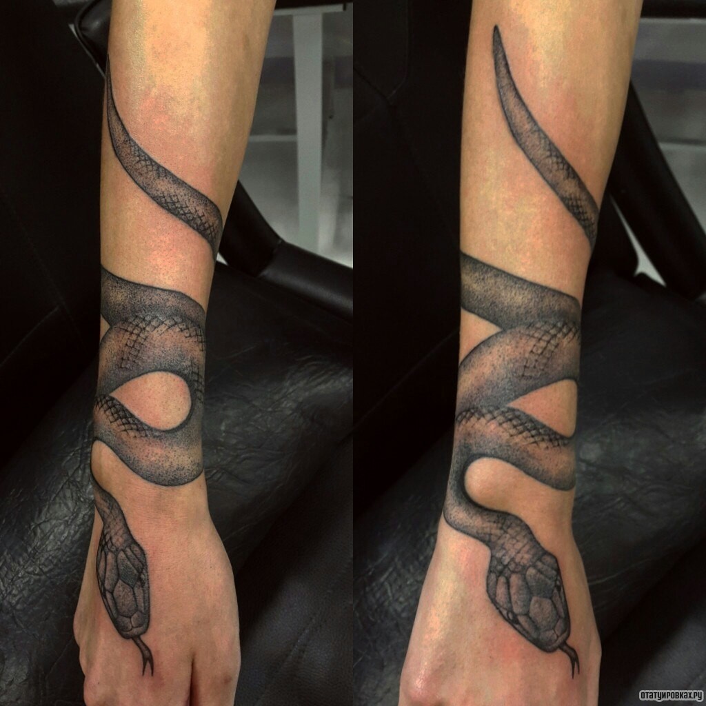 Фотография татуировки под названием «Черная змея»
