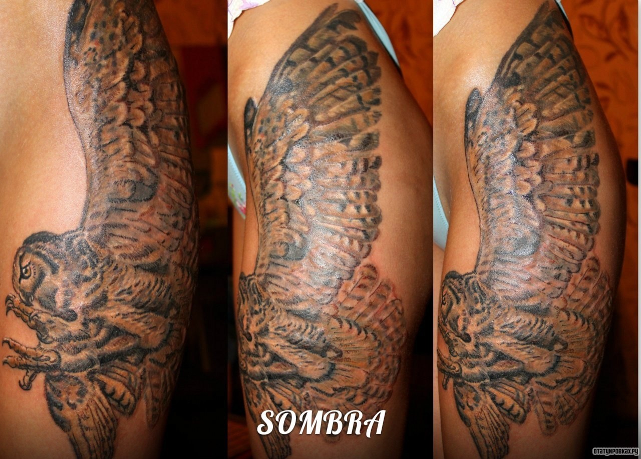 Фотография татуировки под названием «Сова в полете»