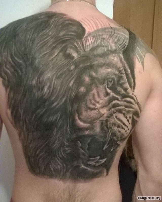 Фотография татуировки под названием «Большой лев»