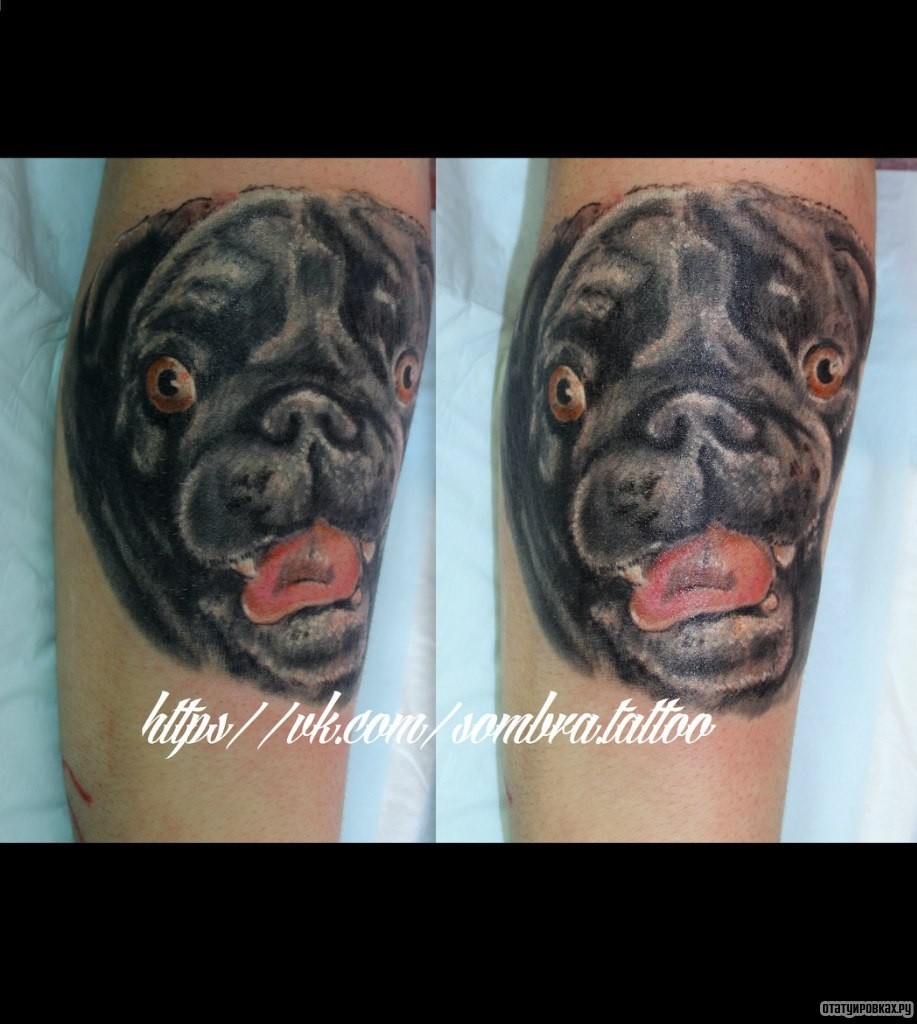 Фотография татуировки под названием «Собака мопс»