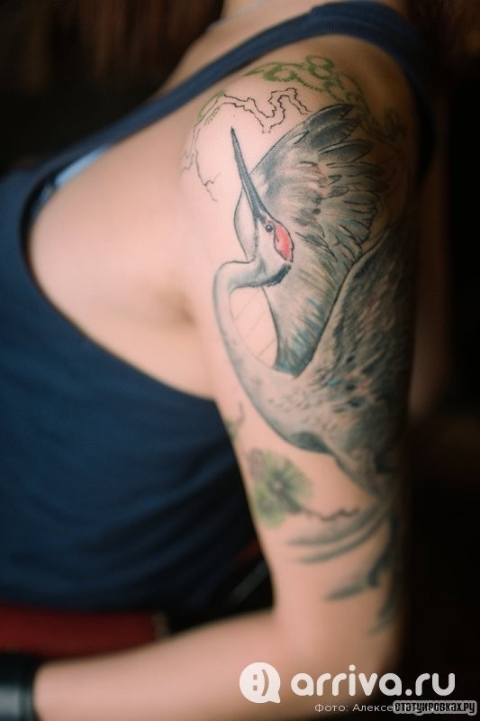 Фотография татуировки под названием «Аист»