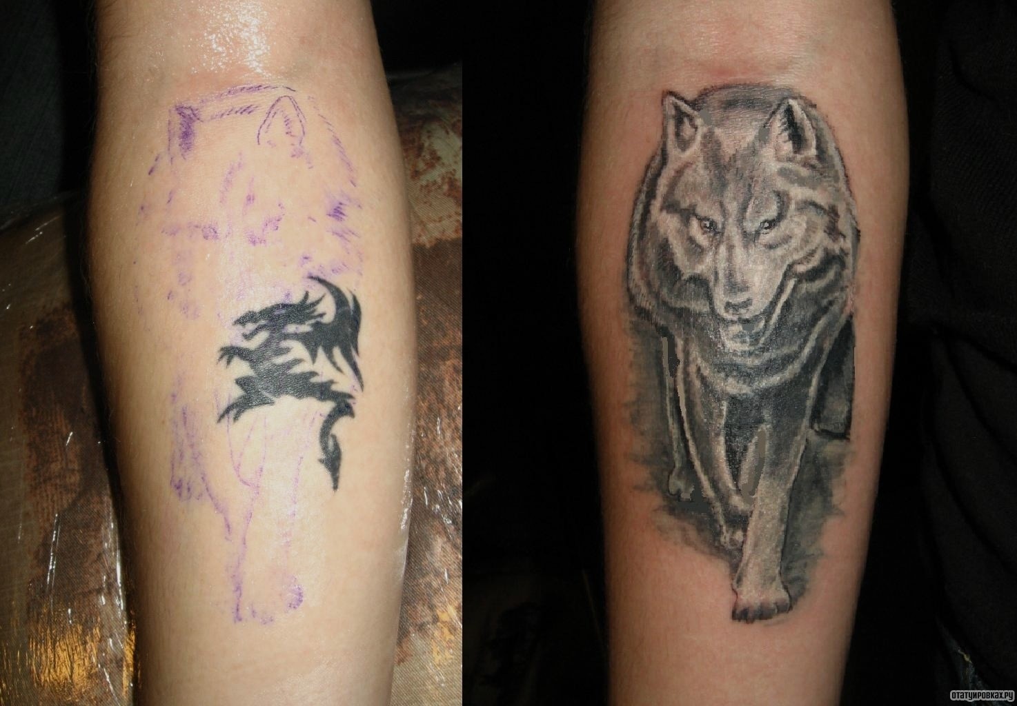 Фотография татуировки под названием «Волк серый»
