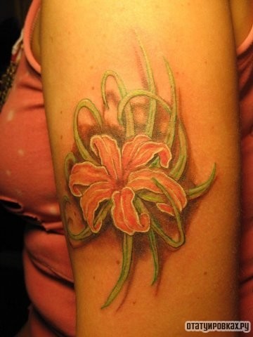 Фотография татуировки под названием «Лилия с листьями»
