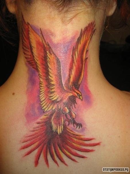 Фотография татуировки под названием «Жар птица на шее»