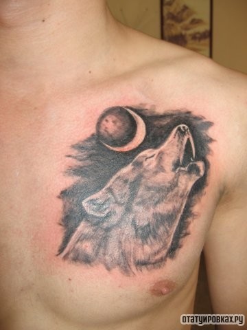 Фотография татуировки под названием «Волк воет на луну»