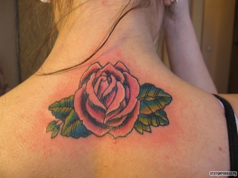 Фотография татуировки под названием «Роза и листья»