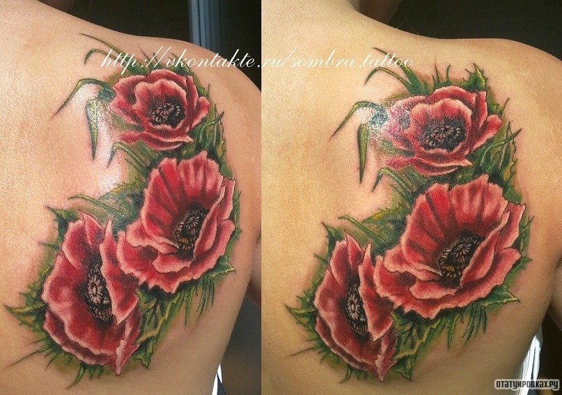 Фотография татуировки под названием «Три цветка мака в траве»