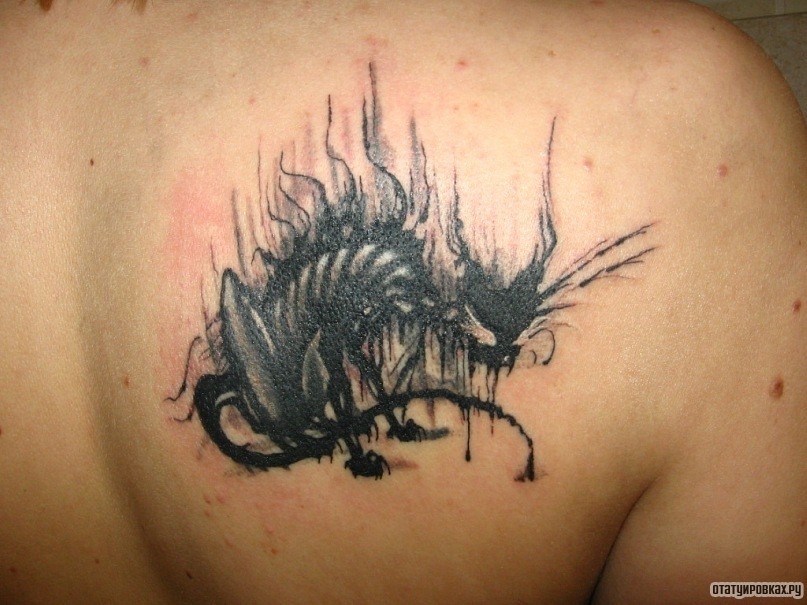 Фотография татуировки под названием «Ободранный кот»