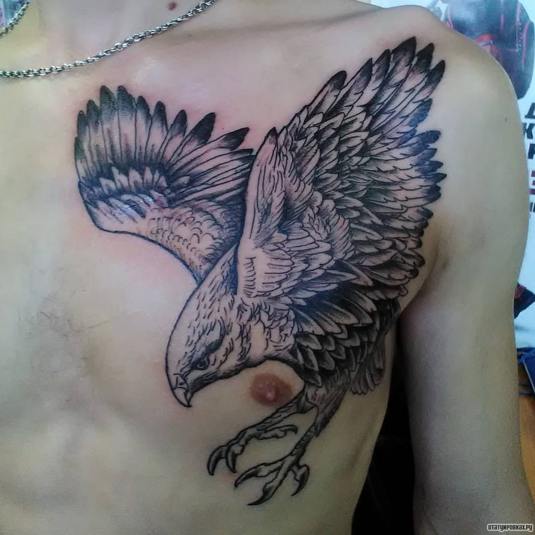 Фотография татуировки под названием «Орел в полете»