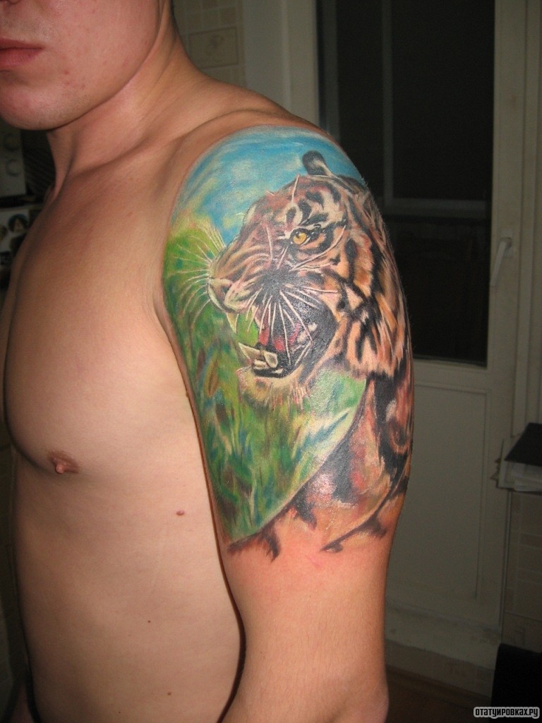 Фотография татуировки под названием «Тигр на природе»
