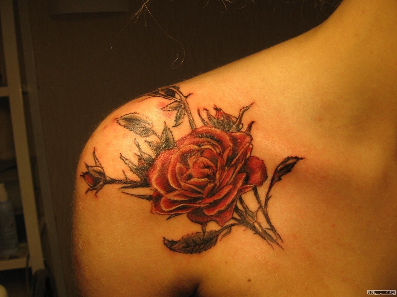 Фотография татуировки под названием «Красная роза с шипами»