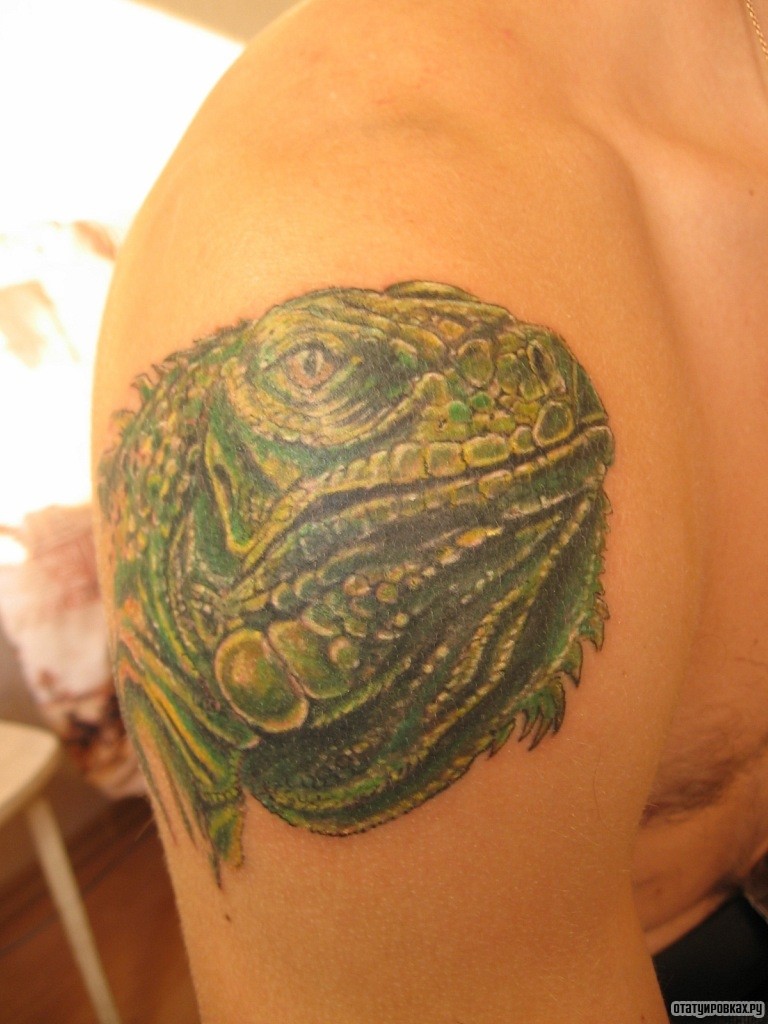 Фотография татуировки под названием «Голова ящерицы»