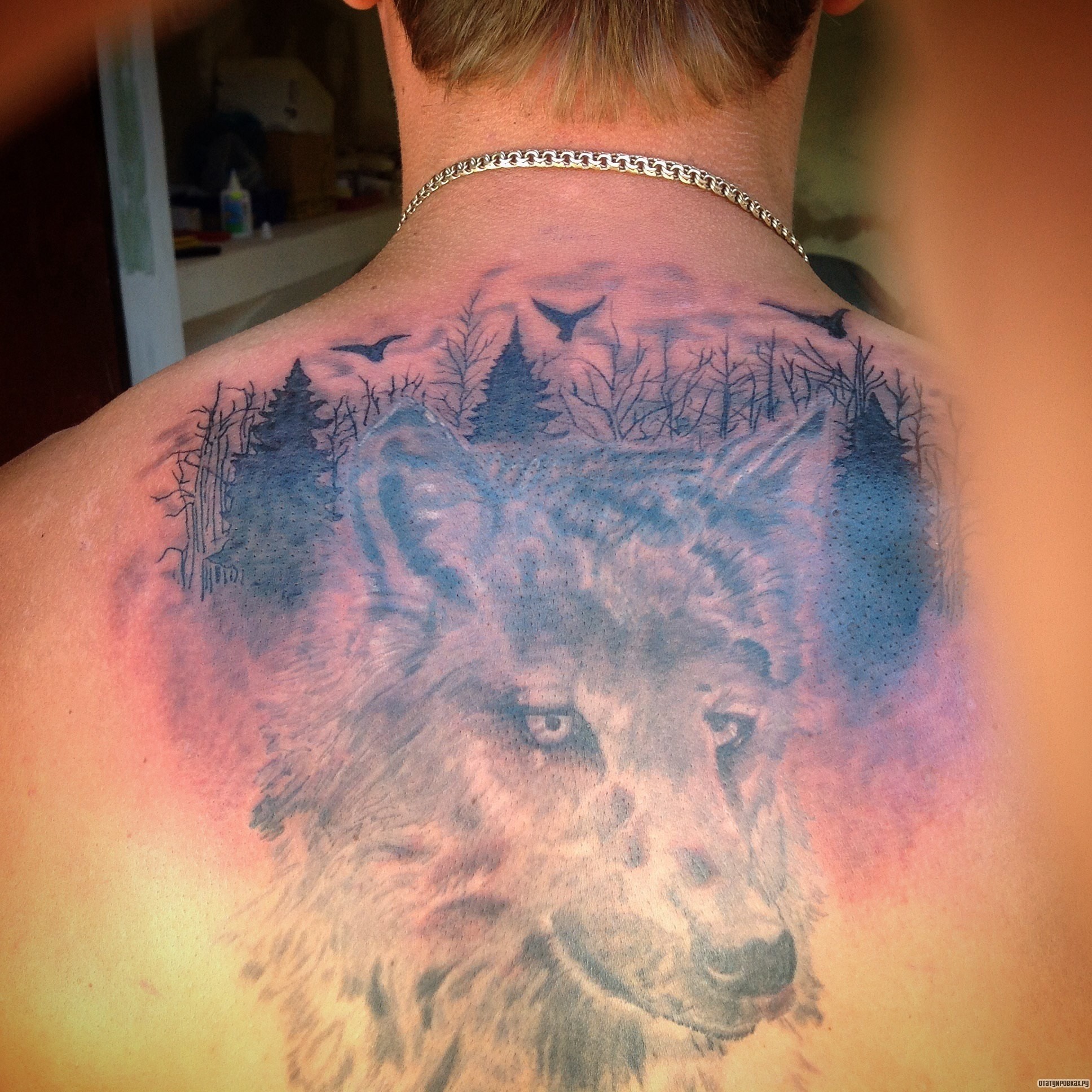 Фотография татуировки под названием «Морда волка на фоне деревьев»